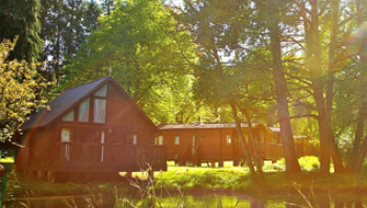 Whitemead Forest Park log cabin
